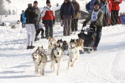 Lenk 2012 SM